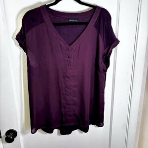 Chic V-Neck Maroon Blouse